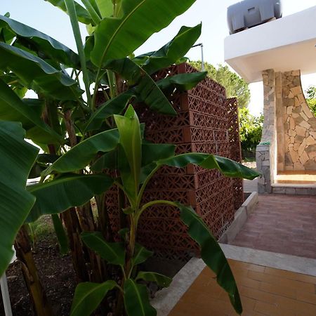Villetta Mare "Gelsomino Bianco" Fontane Bianche Ngoại thất bức ảnh